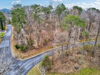 Affordable Cherokee Lake View Lot in Gated Community - photo 6