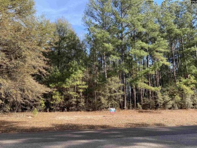 Lake Lot For Sale in Wagener, South Carolina