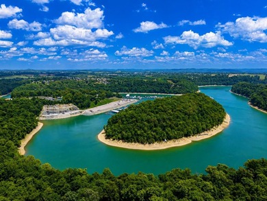 Stunning lake view home located in the highly desirable Serenity - photo 11