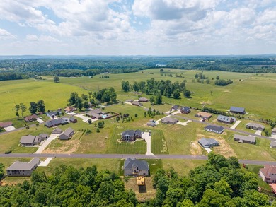 Stunning lake view home located in the highly desirable Serenity - photo 18