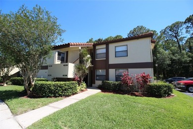 Lake Fredrica  Condo For Sale in Orlando Florida