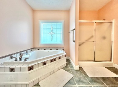 Stunning lake view home located in the highly desirable Serenity - photo 47