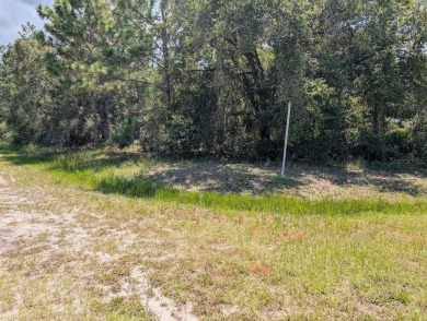 Lake Lot For Sale in Indian Lake Estates, Florida