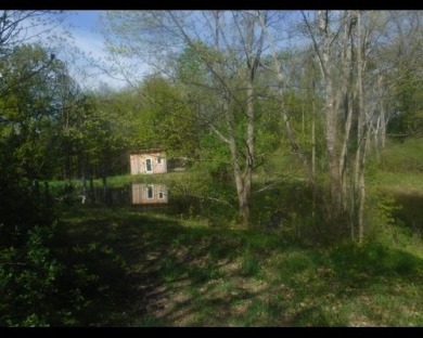 Cabin and pond and 10.13 private acres. SOLD - photo 5
