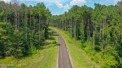 Welcome to Springwood, Flora's newest lakefront development - photo 18
