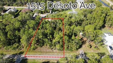 Lehigh Acres Area Lot For Sale in Lehigh Acres Florida