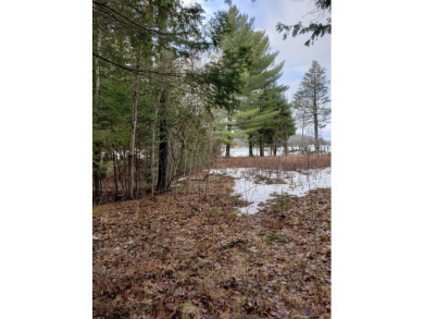 Mullett Lake Lot For Sale in Indian River Michigan