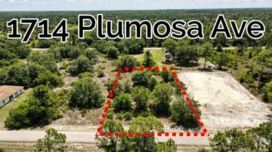 Lehigh Acres Area Lot For Sale in Lehigh Acres Florida