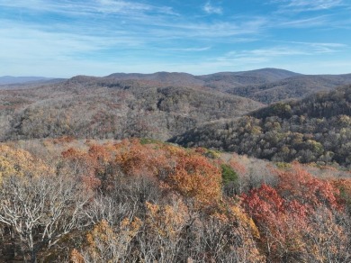 Lake Lot For Sale in Ellijay, Georgia