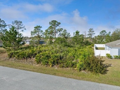 Prime Vacant Lot in Palm Coast, FL - Build Your Dream Home or - photo 1