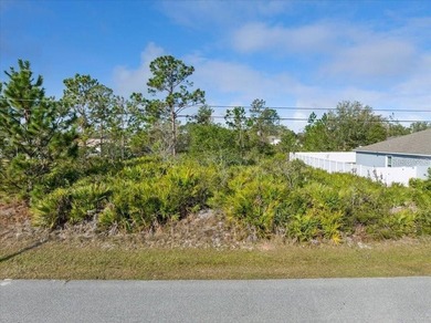 Prime Vacant Lot in Palm Coast, FL - Build Your Dream Home or - photo 2