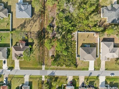 Prime Vacant Lot in Palm Coast, FL - Build Your Dream Home or - photo 4
