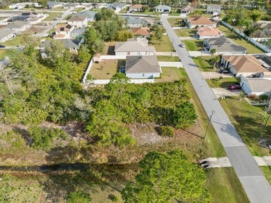 Prime Vacant Lot in Palm Coast, FL - Build Your Dream Home or - photo 9