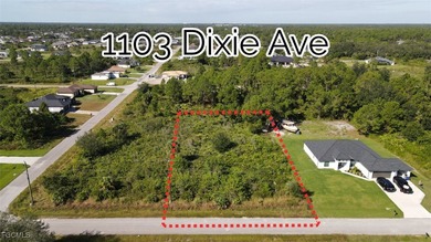 Lehigh Acres Area Lot For Sale in Lehigh Acres Florida