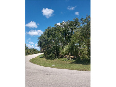 Port Charlotte Waterway Area Lot For Sale in Port Charlotte Florida