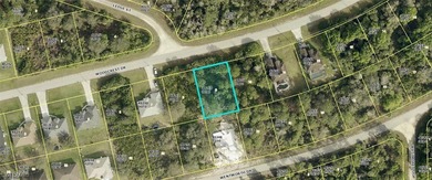 Lehigh Acres Area Lot For Sale in Lehigh Acres Florida
