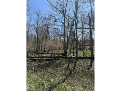 (private lake, pond, creek) Acreage For Sale in Grand Junction Michigan