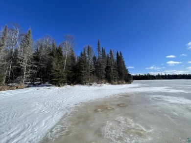 Lake Lot For Sale in Two Harbors, Minnesota