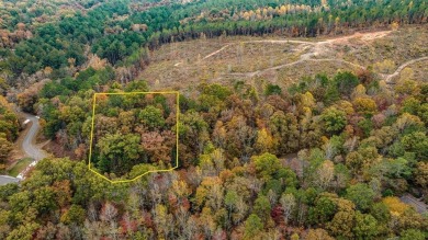 Lake Lot For Sale in Ellijay, Georgia
