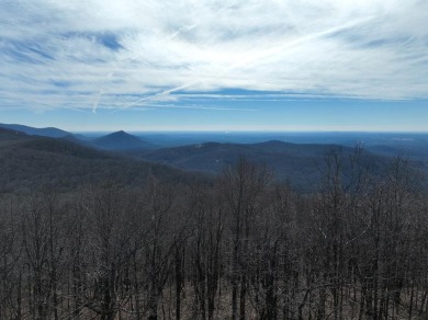 Lake Acreage For Sale in Ellijay, Georgia