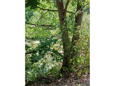 Cabin and pond and 10.13 private acres. SOLD - photo 15