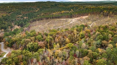 Lake Lot For Sale in Ellijay, Georgia