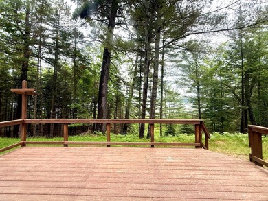 Nestled among towering Northwoods pines on 1.5+ acres, this - photo 5