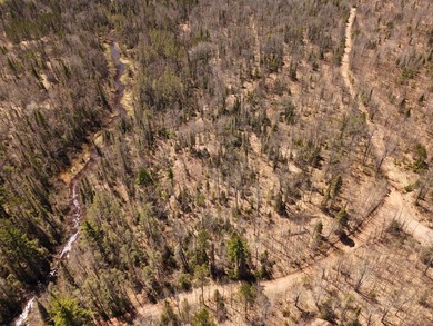 Beautiful 15.58-acre Northwoods parcel featuring extensive - photo 1