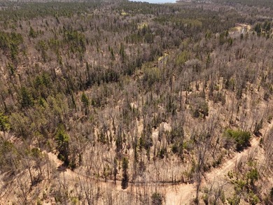 Beautiful 15.58-acre Northwoods parcel featuring extensive - photo 2