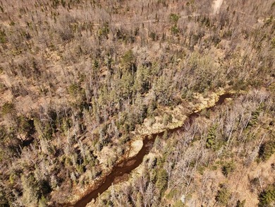 Beautiful 15.58-acre Northwoods parcel featuring extensive - photo 3