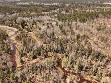 Beautiful 15.58-acre Northwoods parcel featuring extensive - photo 4