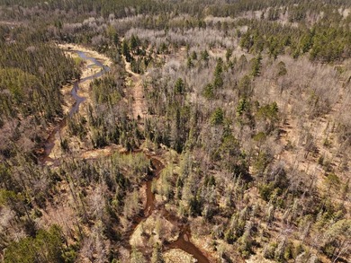 Beautiful 15.58-acre Northwoods parcel featuring extensive - photo 5