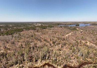 Beautiful 15.58-acre Northwoods parcel featuring extensive - photo 6
