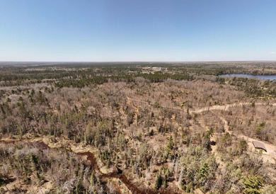 Beautiful 15.58-acre Northwoods parcel featuring extensive - photo 7