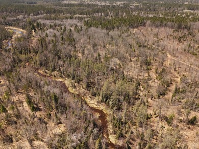 Beautiful 15.58-acre Northwoods parcel featuring extensive - photo 8