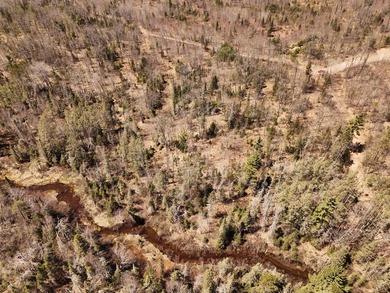 Beautiful 15.58-acre Northwoods parcel featuring extensive - photo 9