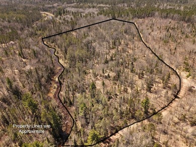 Beautiful 15.58-acre Northwoods parcel featuring extensive - photo 10
