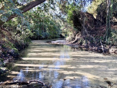 (private lake, pond, coastal) Acreage For Sale in Robertsdale Alabama