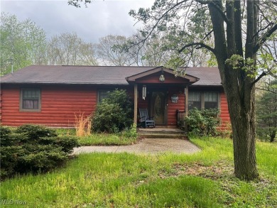 Lake Home For Sale in Negley, Ohio