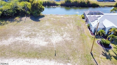 SEAWALL IN PLACE - Build your dream home on this exceptional - photo 3