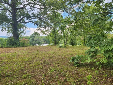 Chickamauga Lake Lot For Sale in Decatur Tennessee