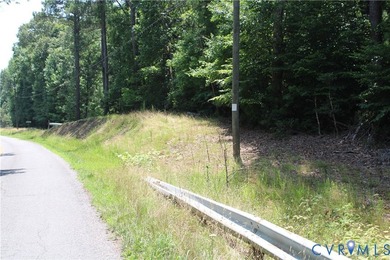 One acre waterfront lot with 448' road frontage along Wilcox - photo 4