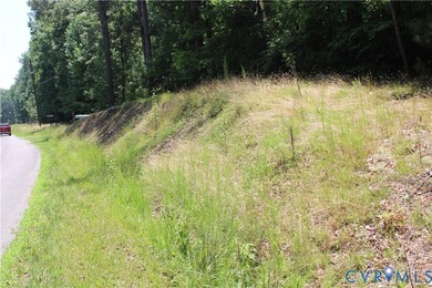 One acre waterfront lot with 448' road frontage along Wilcox - photo 5