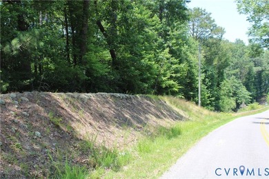 One acre waterfront lot with 448' road frontage along Wilcox - photo 7