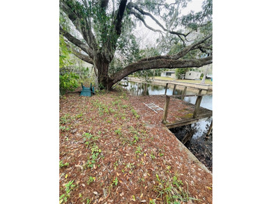 Tsala Apopka Chain of Lakes Home Sale Pending in Floral City Florida