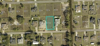 Lehigh Acres Area Lot For Sale in Lehigh Acres Florida
