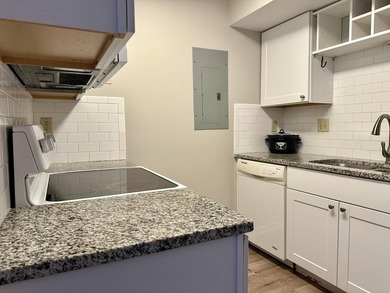 WHY PAY MORE! The seller will pay the 1st 4 months HOA/Regime - photo 9
