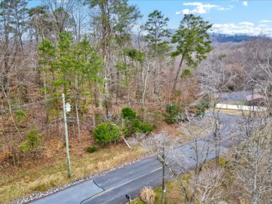 Affordable Cherokee Lake View Lot in Gated Community - photo 7