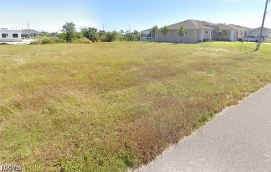 Freshwater canal lot in NE Cape Coral with concrete seawall - photo 3