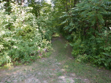 Cabin and pond and 10.13 private acres. SOLD - photo 10